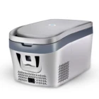 Digital Display 25L/35L Portable Refrigerator Mini Compressor Car Fridge Freezer 12v for Drink Fruits and Vegetables