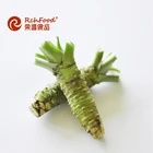 Wasabi Paste Kosher Sushi Flavor Seasoning