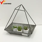 geometric succulent cactus planter flower pot