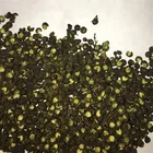 good quality dried green sichuan pepper szechuan pepper