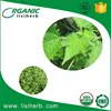 /product-detail/wholesale-100-natural-nettle-extract-powder-nettle-leaf-tea-powder-60066296055.html