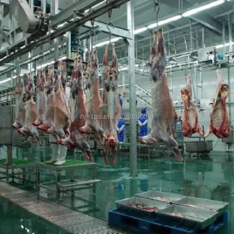 Cattle & Sheep Slaughterhouse Equipment Buy Slaughterhouse Equipment,Cattle Slaughterhouse