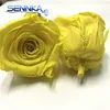 Preserved Roses Real Rose Color with Big Bud From Kunming Ecuadorian Roses Head