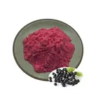 Anthocyanins fruit juice powder pigment 100% natural elderberry extract
