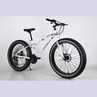 26 Inch Aluminium Wheels Big Tire