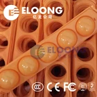 Ball Colorful Plastic Ball Ocean Adult Pit Plastic Kid Crushproof Playground Colored Toy Ball