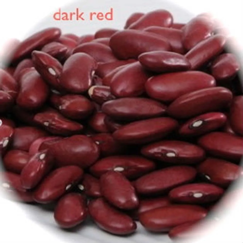 JSX small grain red bean price polypropylene bags of 50 kg New crop red speckled kidney bean