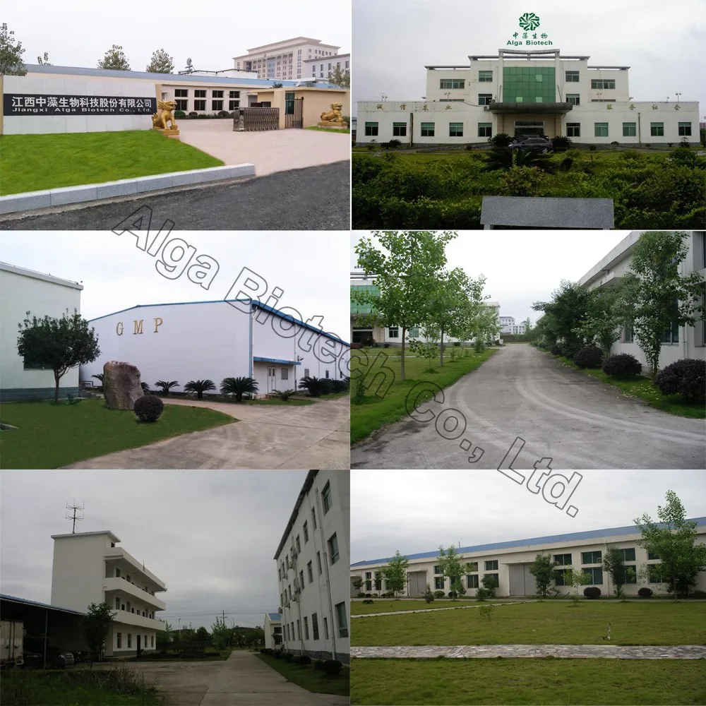 company.jpg