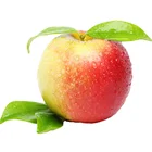 Fresh red green tasty fuji qinguan gala apple