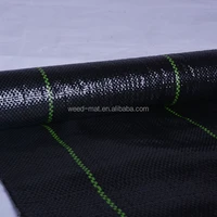 100 PP Woven Weed Control Fabric