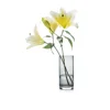Slegan Premium Glass Vase Hand Blown Glass Dark Grey Cylinder Medium Size Vase