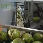 High automatic coconut water processing machine