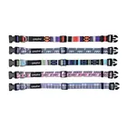 Strong Mental Buckle Durable Webbing for Custom Adjustable Dog Collar