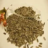 chinese sunflower seeds300pcs 320pcs 330pcs hybrid sunflower seed