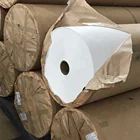 PSB (Poly Spund Bond) media Toray Pleatable HEPA Filter Paper