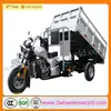 China website shopping bicycles with gasoline engine motorized tricycle design for adult/lpg motorcycle price