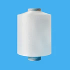 70D 24F Semi Dull Raw White Nylon 6 Textured DTY Yarn