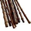 FD-171121natural bamboo root, bamboo root cane, bamboo rhizome for bag handle