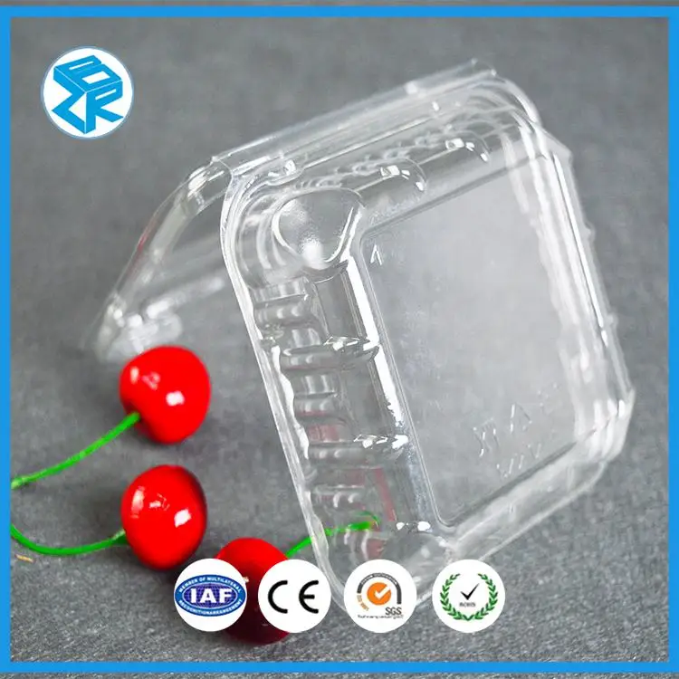 Custom transparent disposable blister fruit package container