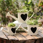New Design Decorative Galvanized Metal Watering Can