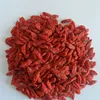 /product-detail/manufacturer-wholesale-food-materials-dried-fuit-conventional-goji-berry-60771129731.html