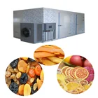 2019 non pollution hot air apple mango banana pineapple fruit dehydrated drying oven dryer