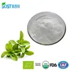 RA 40% 50% 60% 90% 98% China Stevia Powder Price