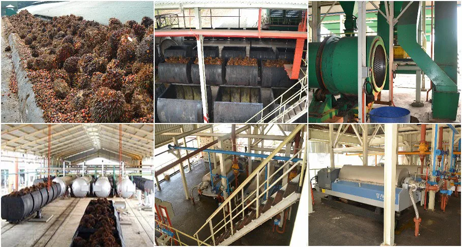 Factory Price Palm Kernel Shell Oil Press Red Palm Oil Processing