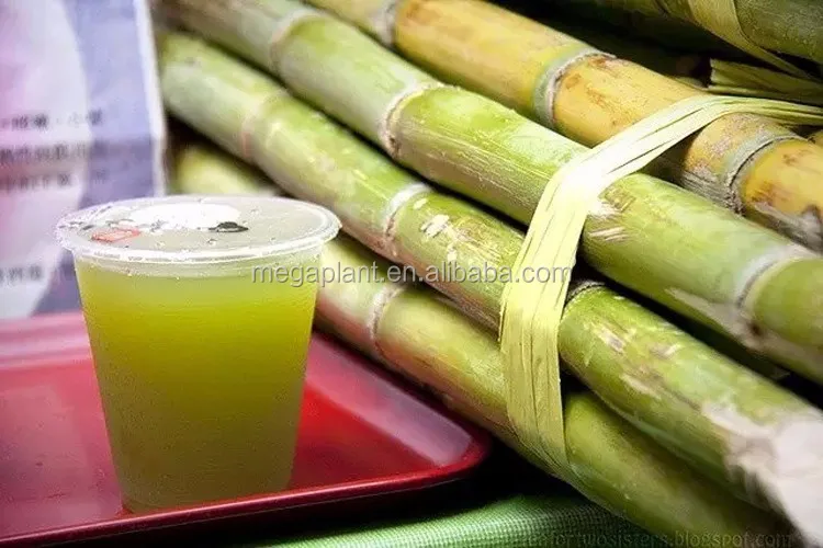 sugar cane juice squeezer/sugar cane squeezing machine/sugarcane squeeze machine