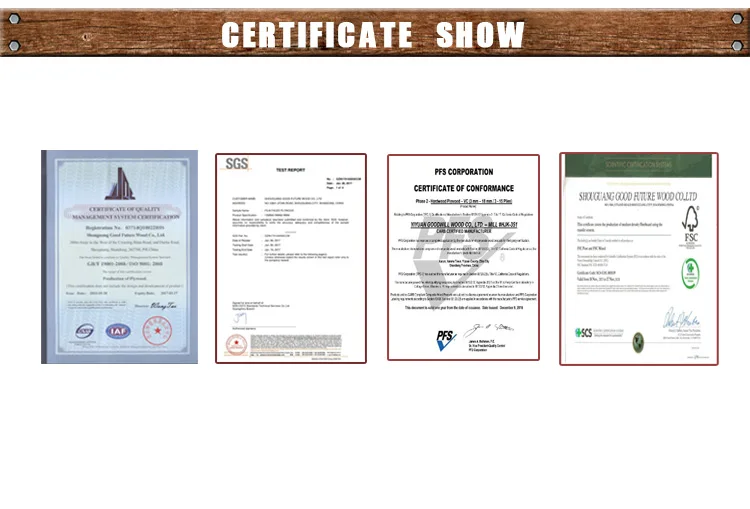 certificate show.jpg