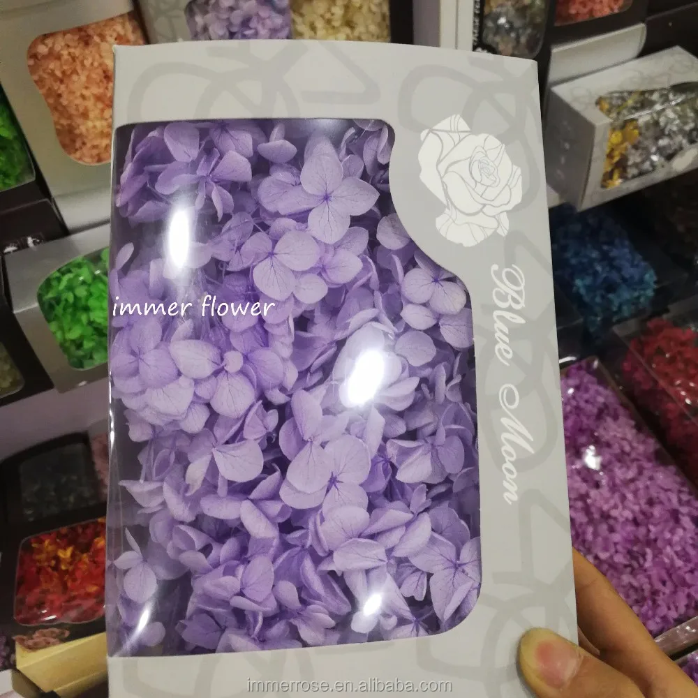 作为diy 材料的优秀保存的绣球花