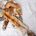 100% Real Tanned Red Fox Fur Skin/ Red Fox Fur Pelt For Garment