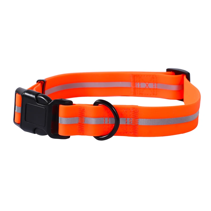 dog leash and collar