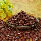 Beans Bean Adzuki Beans Small Red Kidney Beans GF4 Small Red Bean/adzuki Bean/rice Bean