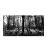 Forest Landscape Picture Photo Print on Canvas