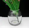 Clear glass vase customized glasses vase