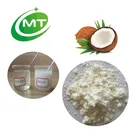Pure Organic Coconut milk Extract Powder fine grade Instant Coconut Powder