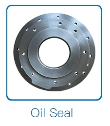 CAM-PLATE2_13.jpg