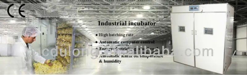 Professional CE approved DLF-T24 holding 5280 chicken eggs incubator