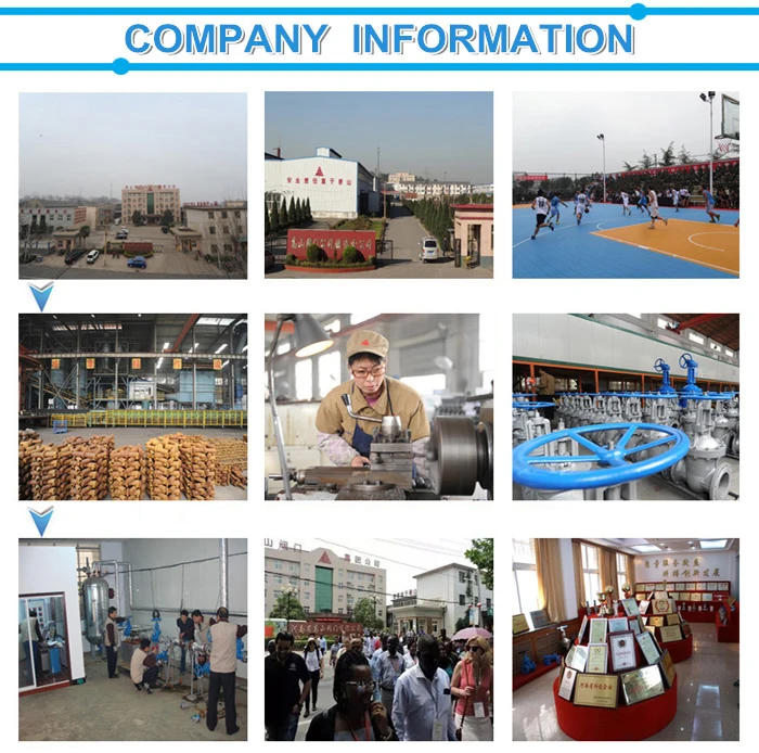 Company information