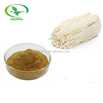 top quality needle mushroom extract enokitake extract flammulina