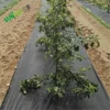 hydroponic greenhouse ground cover anti weed mesh cloth,strawberry growing PE weed mat damp control mesh