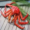 Frozen Live Red King Crabs Soft Shell Crabs