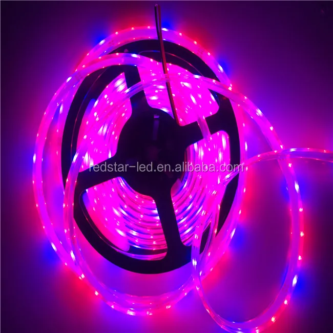 New Led Smart Zigbee Rgb Strip Light - ANKUX.COM