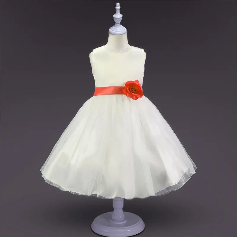 6893610276_407484580