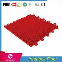 Indoor Outdoor Sports Court Playground Gym