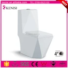 Washdown S-trap One Piece Dual Flush Toilet Commode