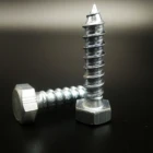 Din 571 Hex Socket Wood Screws galvanized carbon steel
