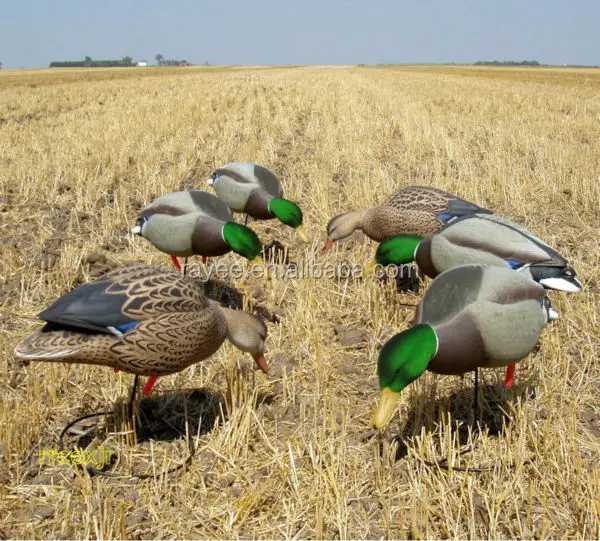 R1301 Floating Duck Hunting Decoy With Green Head,Plastic Hunting
