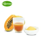 100% natural Fermented papaya powder extract/Papaya Fruit Powder /papaya